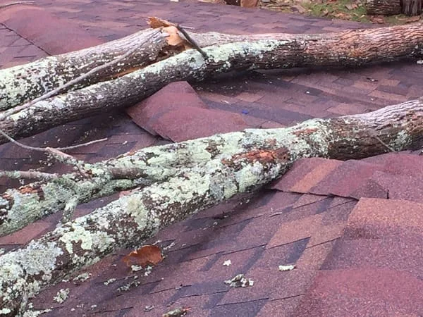 Baum-auf-einem-Haus-aufgrund-von-Hurrikan-und-Tornado-Sturmschaden